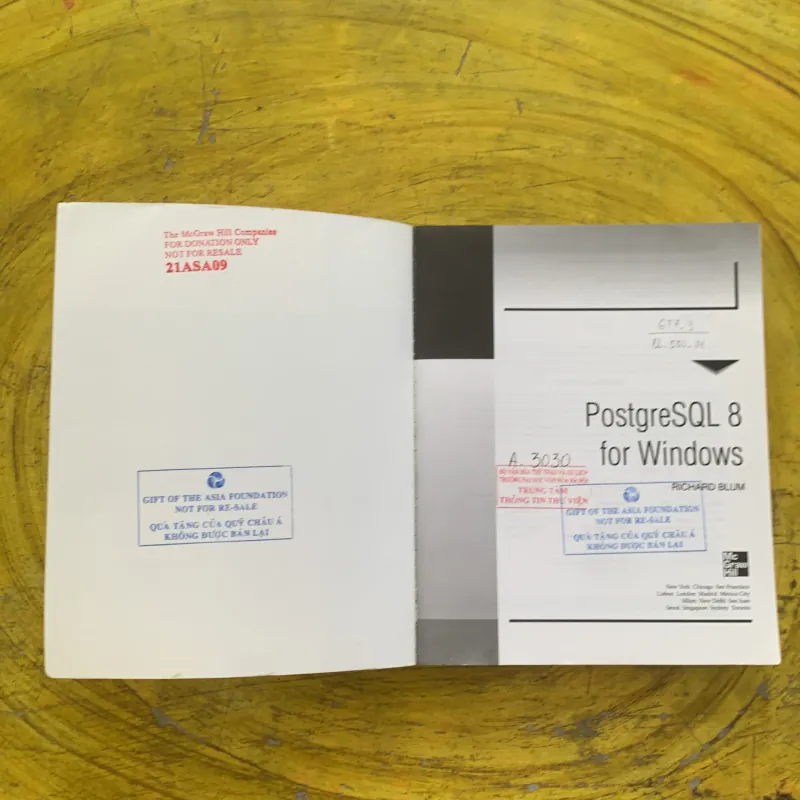 PostgreSQL 8 FOR WINDOWSr - RICHARD BLUM 1004318