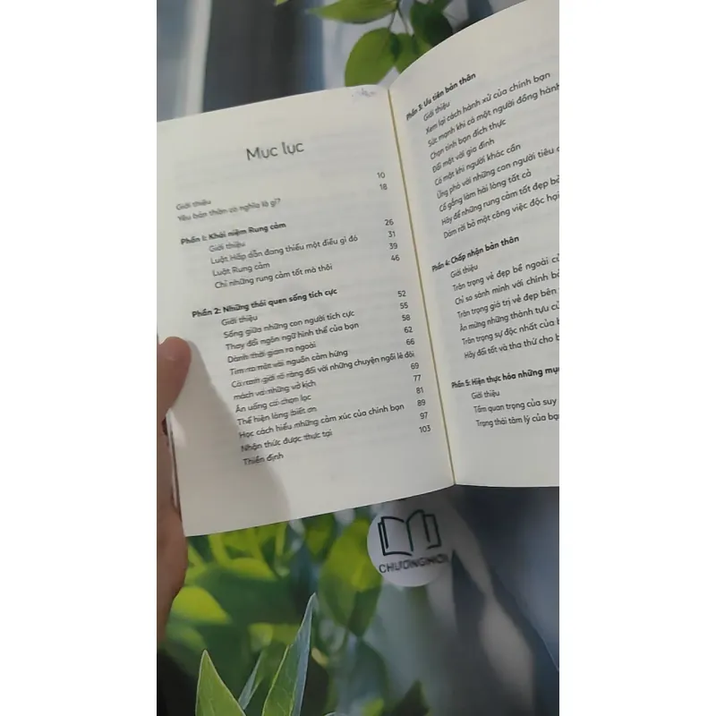 Yêu Mình Trước Đã, Yêu Đời Để Sau - Vex King 961185