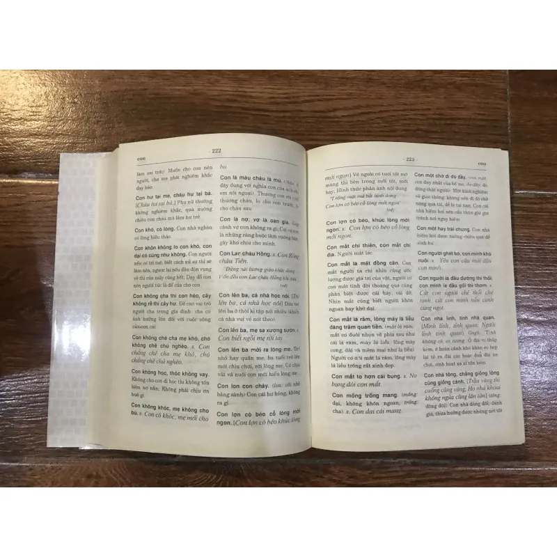 Từ điển thành ngữ và tục ngữ Việt Nam (11) 1021286