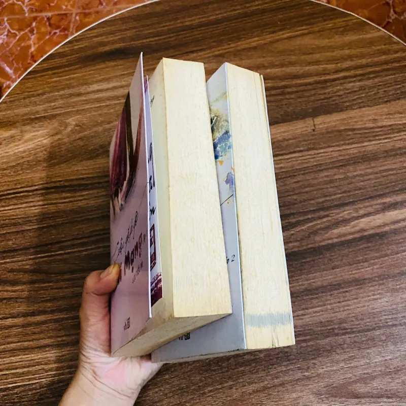 Combo 2 quyển - Cuộc Gặp Gỡ Chí Mạng -  Lưu Tiểu Mị#HATRA 971113