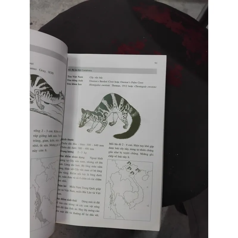 Giới thiệu một số loài thú của Đông Dương và Thái Lan 975216