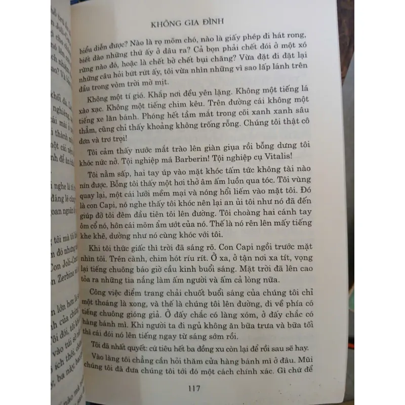 KHÔNG GIA ĐÌNH - HECTOR MALOT (HUỲNH LÝ DỊCH) 1038399
