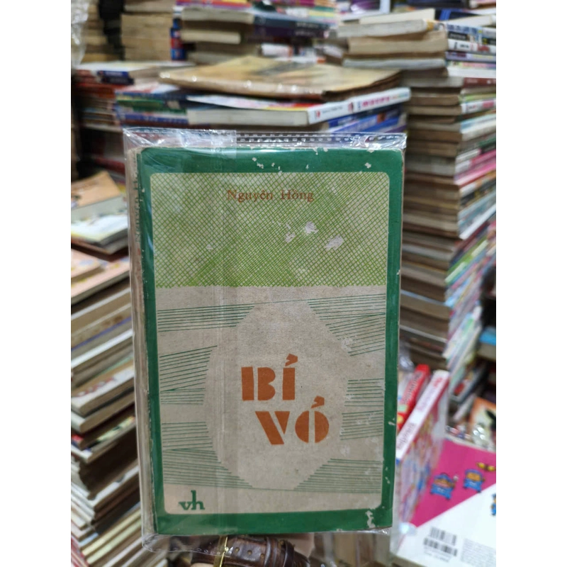 Bỉ Vỏ - Nguyên Hồng 540609