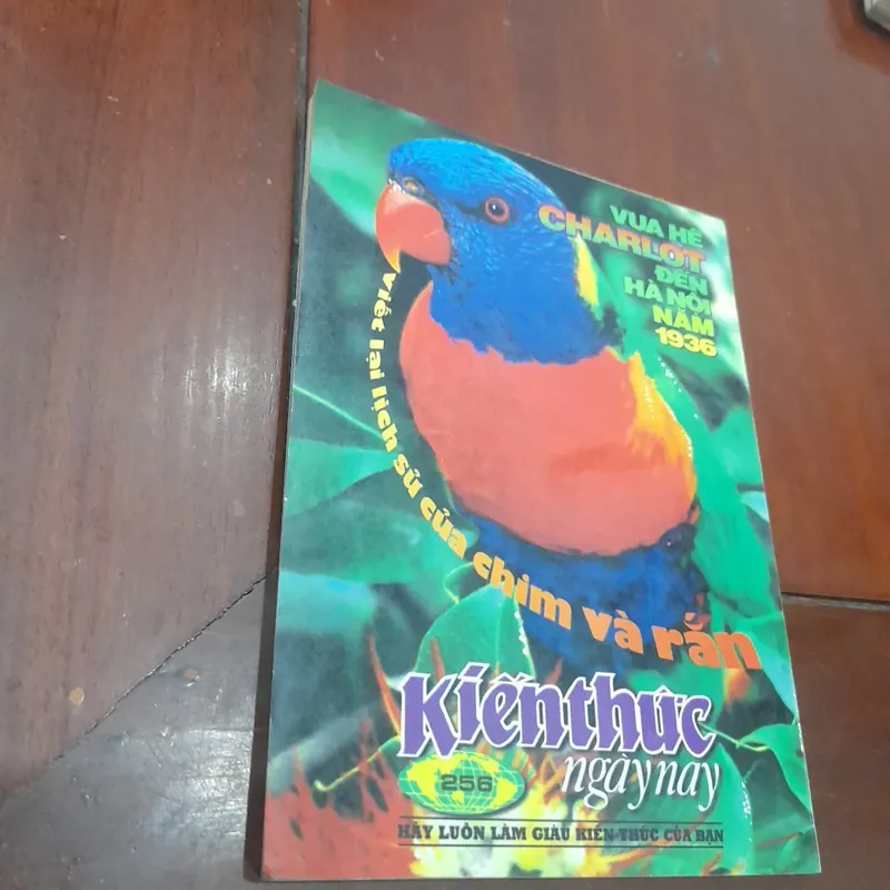 KIẾN THỨC NGÀY NAY số 256 ngày 1-9-1997 576328