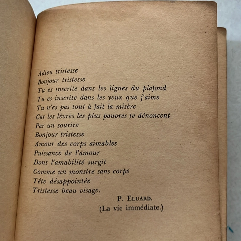 Bonjour Tristesse 509335