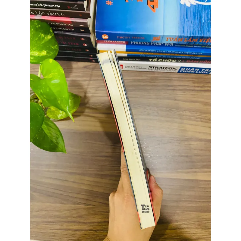 QUẲNG GÁNH LO ĐI VÀ VUI SỐNG 563479