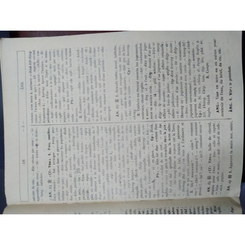 TỬ ĐIỂN VIỆT HOA PHÁP 196671