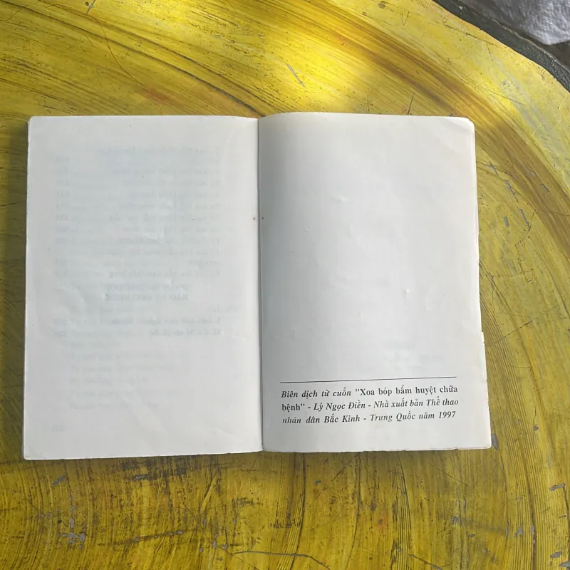 XOA BÓP BẤM HUYỆT CHỮA BỆNH - LÝ NGỌC ĐIỀN & BẢO HUY 1043010