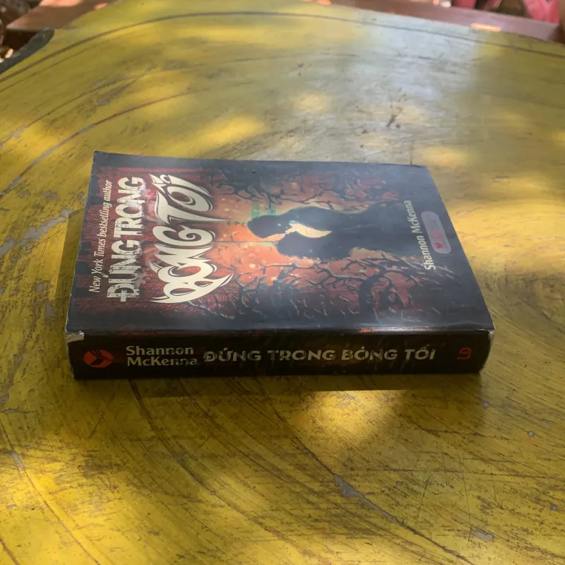 ĐỨNG TRONG BÓNG TỐI - SHANNON MCKENNA 937332