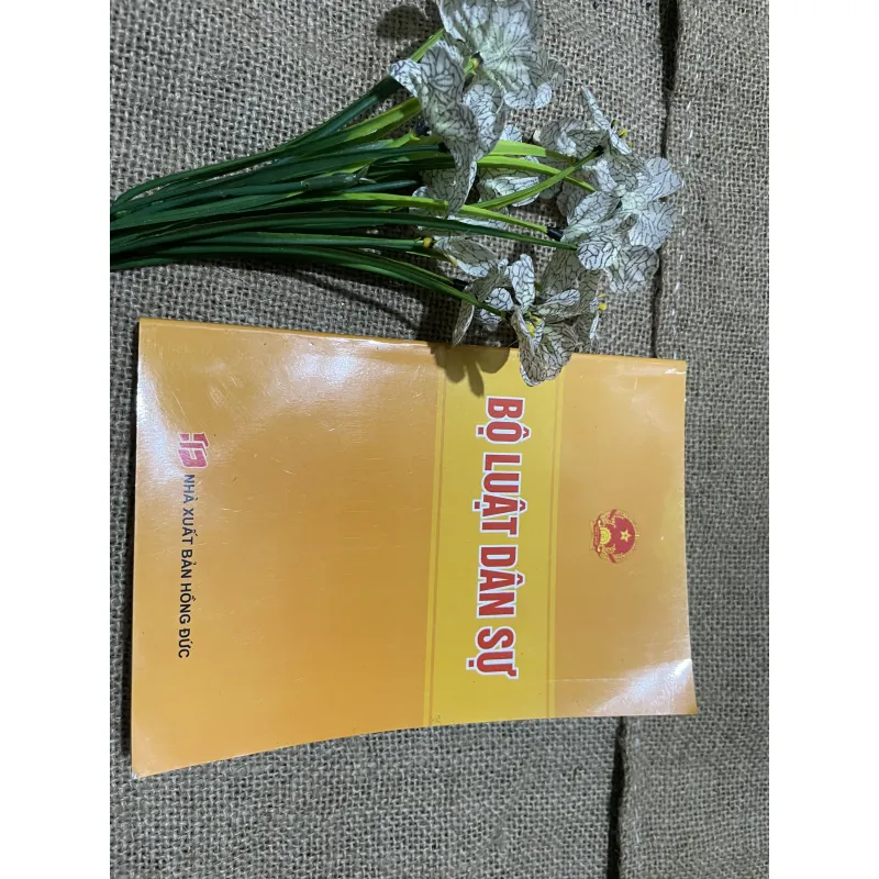 Bộ luật dân sự , hơn 300 trang  797684