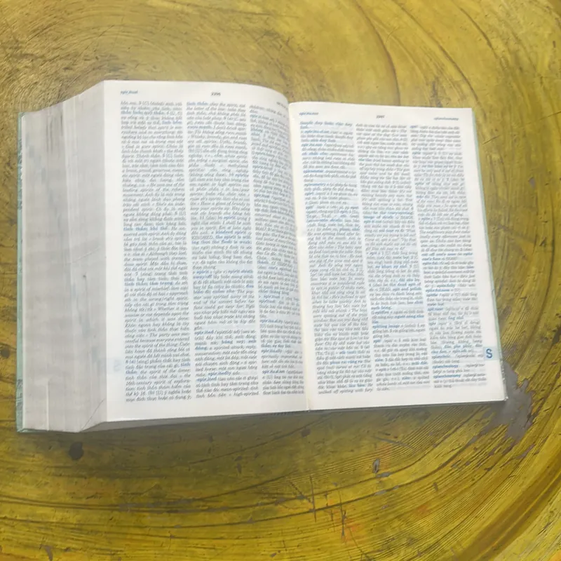 TỪ ĐIỂN ANH - VIỆT - ENGLISH - VIETNAMESE DICTIONARY NEW EDITION  699409