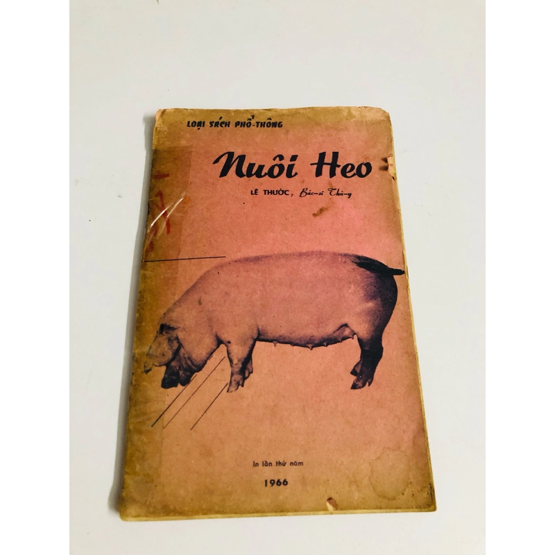 NUÔI HEO 1966 528074