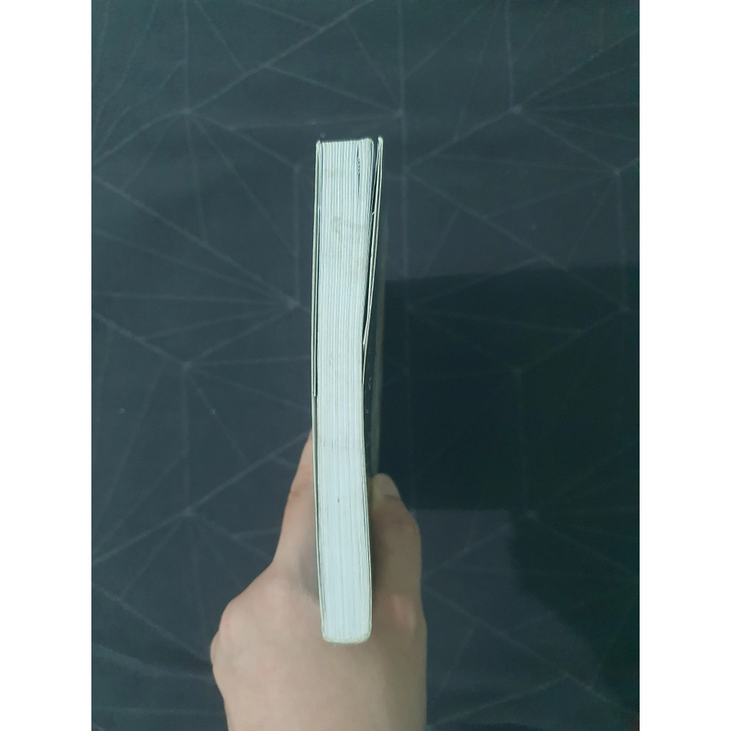 "Người lạ trong nhà" - Leila Slimani 472180