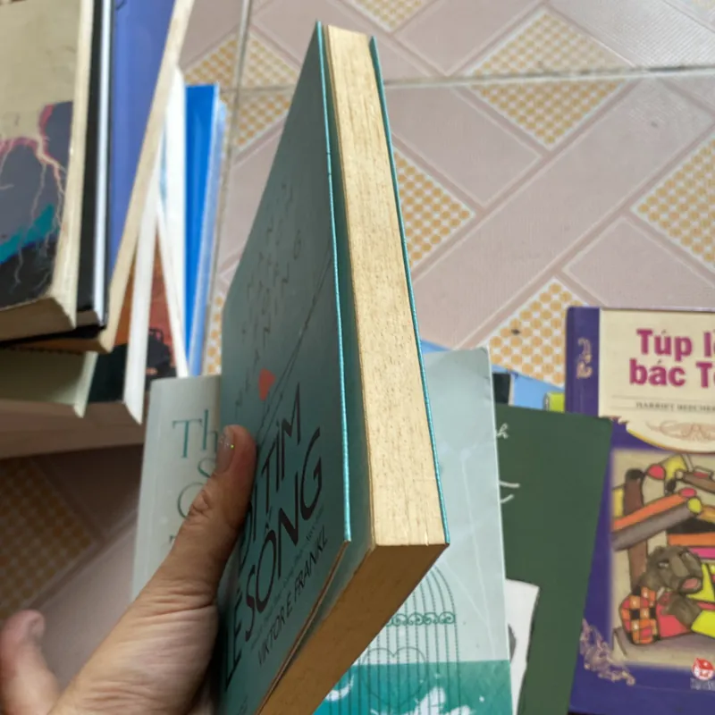 Đi tìm lẽ sống  592904
