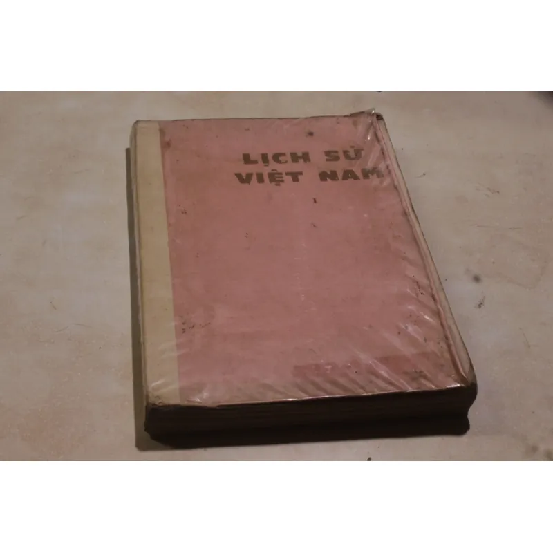 Lịch sử Việt Nam tập 1 994258