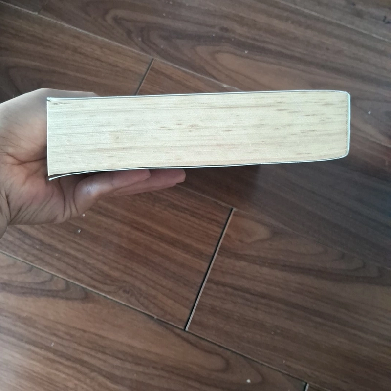 Trái tim màu hổ phách 509939
