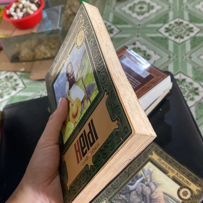 Heidi Johanna Spyri 593831