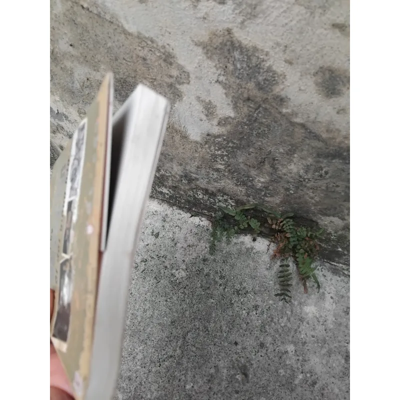 Hồi kí Thương Tín một đời giông bão  1028247