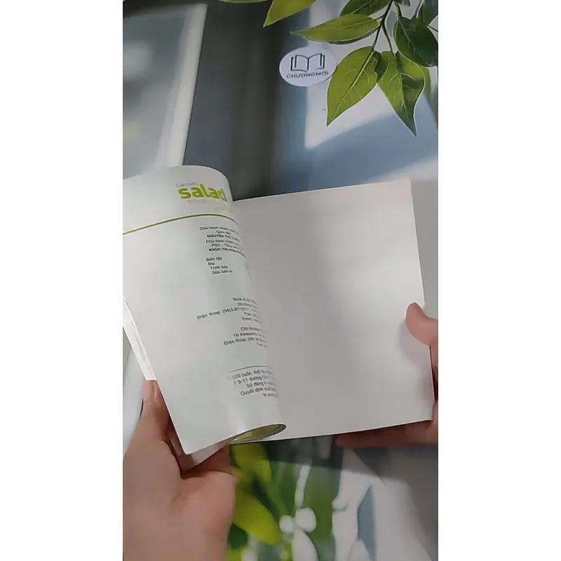 Các Món Salad Trái Cây - Rau Củ Ngon Tuyệt - Việt Điền, Triệu Thị Chơi 607710