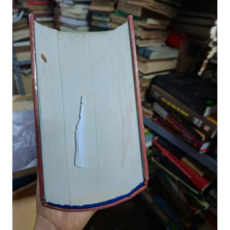 Minh mễnh chính yếu 928732