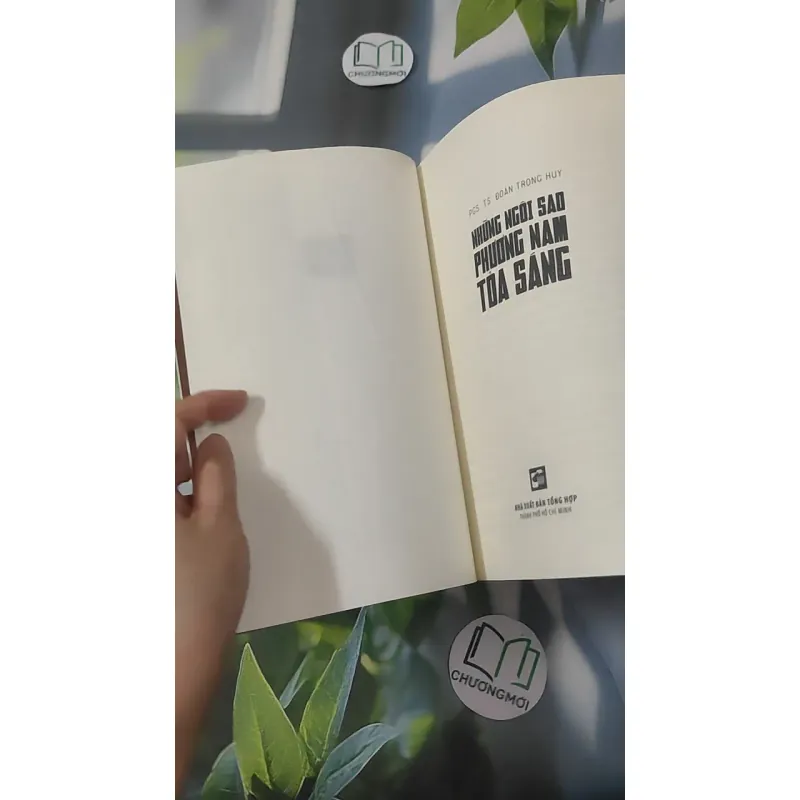 Những Ngôi Sao Phương Nam Tỏa Sáng - PGS. TS. Đoàn Trọng Huy 1018923