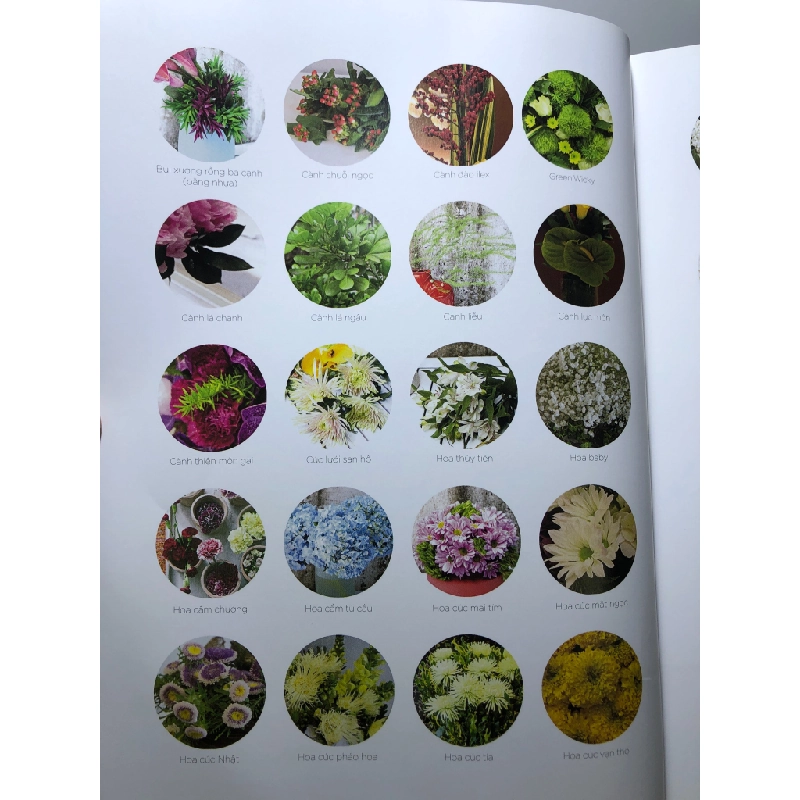Blossom in home Nhà là nơi những sắc hoa ngập tràn 2015 mới 90% Bảo Nam HPB3007 TẠP CHÍ, THIẾT KẾ, THỜI TRANG 458699