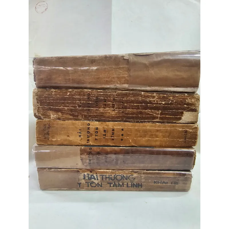 HẢI THƯỢNG Y TÔN TÂM LĨNH - LÊ HỮU TRÁC ( DỊCH GIẢ HOÀNG VĂN HOÈ ) 301168