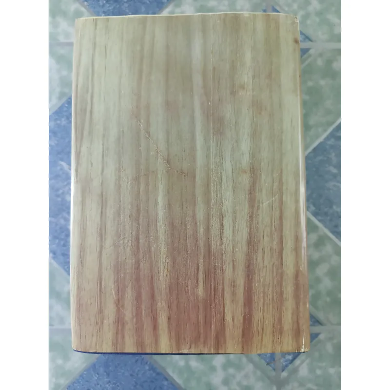 Việt Nam tân từ điển - Thanh Nghị 712530