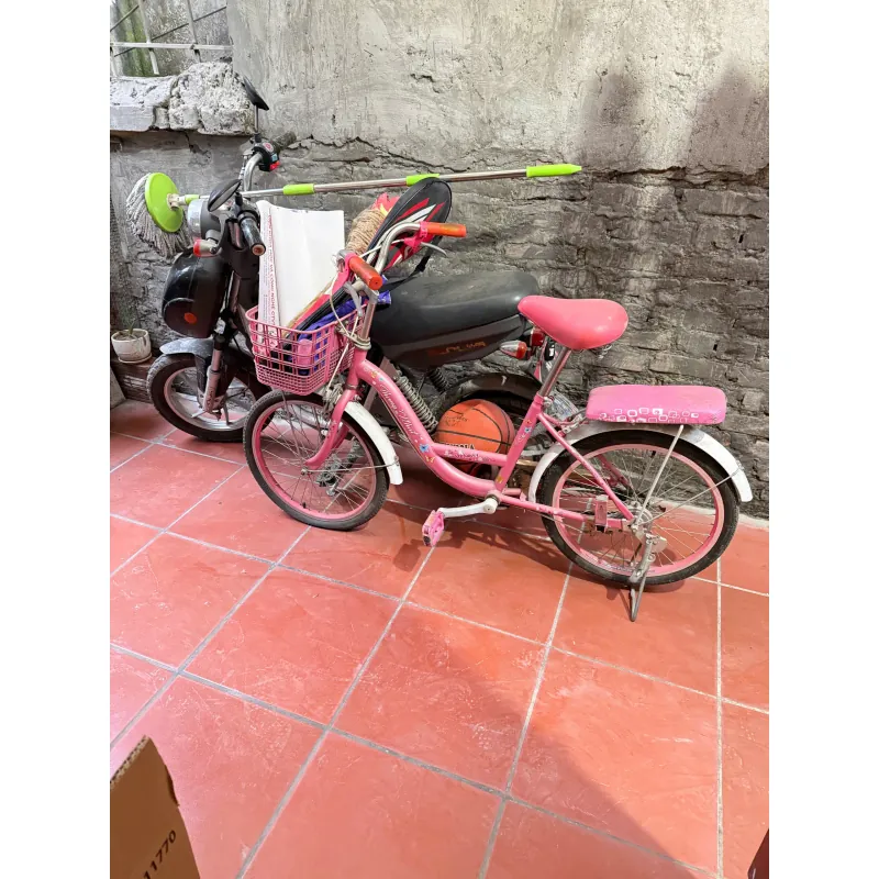 Xe đạp hồng xuất  xứ Việt Nam 733551