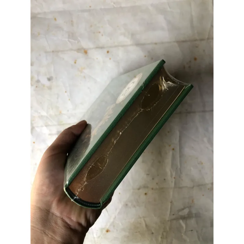 Gia Đình Robinson Thụy Sĩ - Johann David Wyss 733706