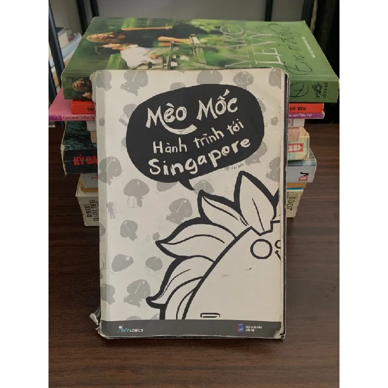 Hành trình Cat Tới Singapore – Mèo Mốc 558560
