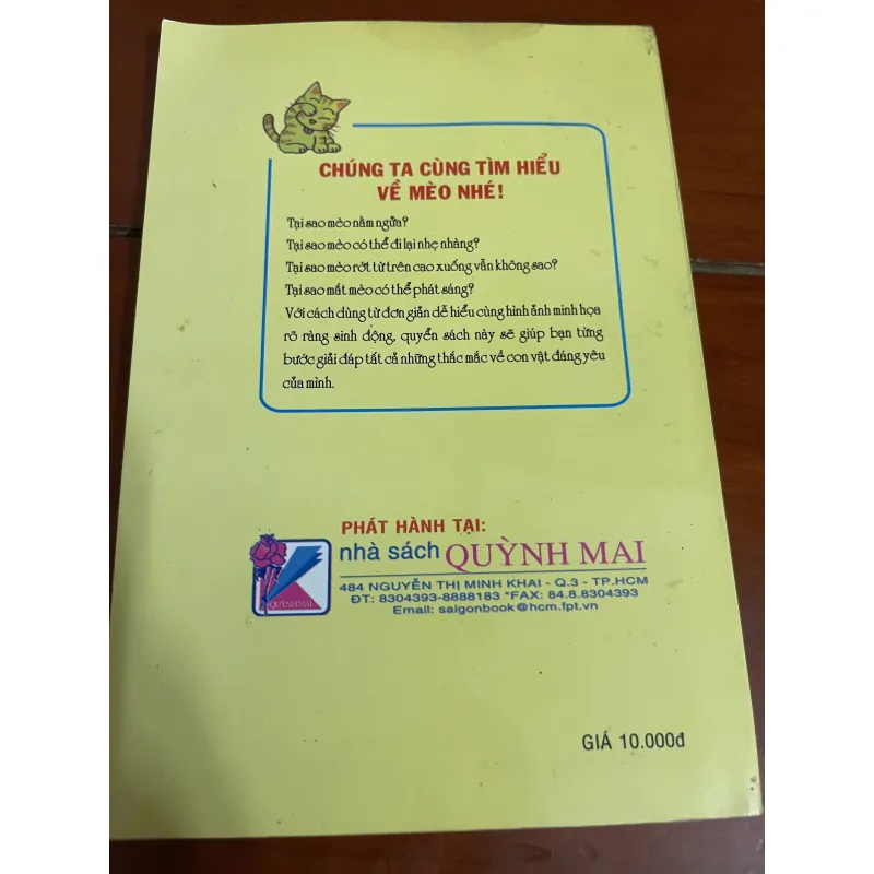 Cách nuôi mèo  1005189