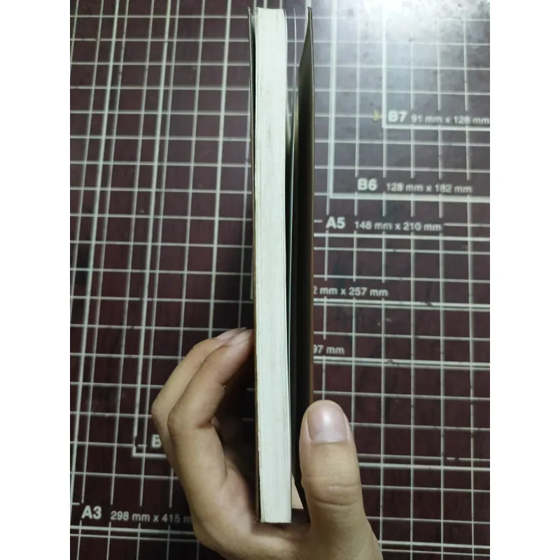 Ảnh hưởng đạo Phật trong đoạn trường Tân Thanh - Dương Anh Sơn 731139