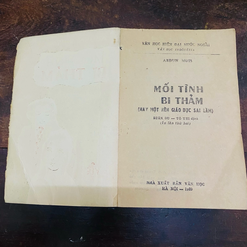 Tiểu thuyết Mối tình bi thảm - Abdun Muis  361326