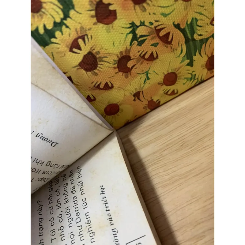 Đường Vào Triết Học - Dương Ngọc Dũng 748616