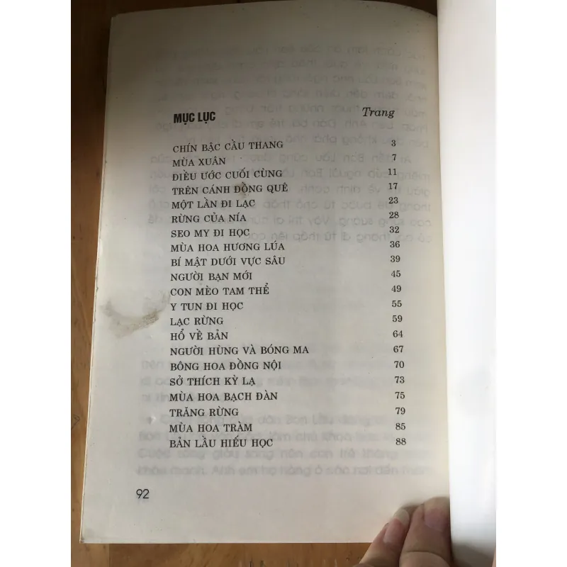 Chín bậc cầu thang 973618