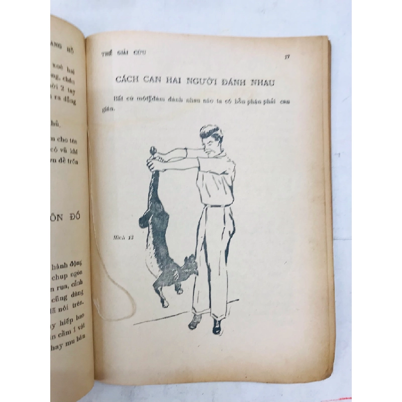 Võ giang hồ - Đinh Đức Cư 127365