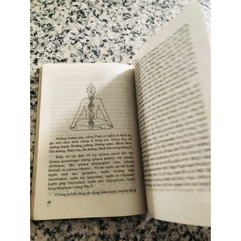 YOGA QUYỀN NĂNG VÀ GIẢI THOÁT 969838