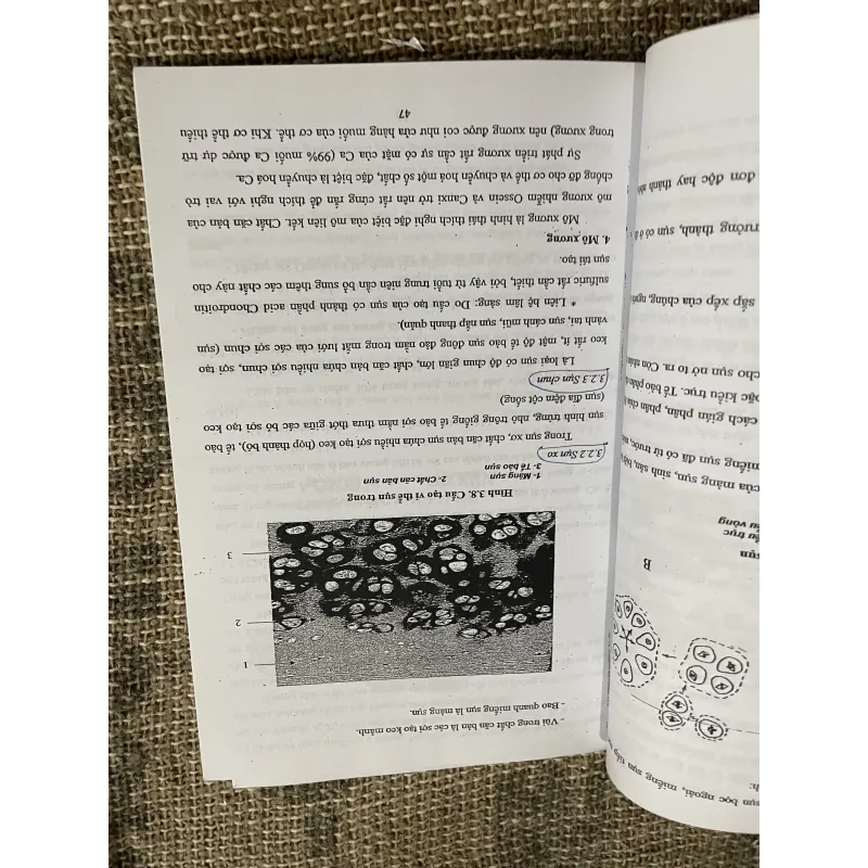 Mô học DÙNG CHO ĐỐI TƯỢNG CỬ NHÂN ĐIỀU DƯỠNG; khổ lớn  1029877