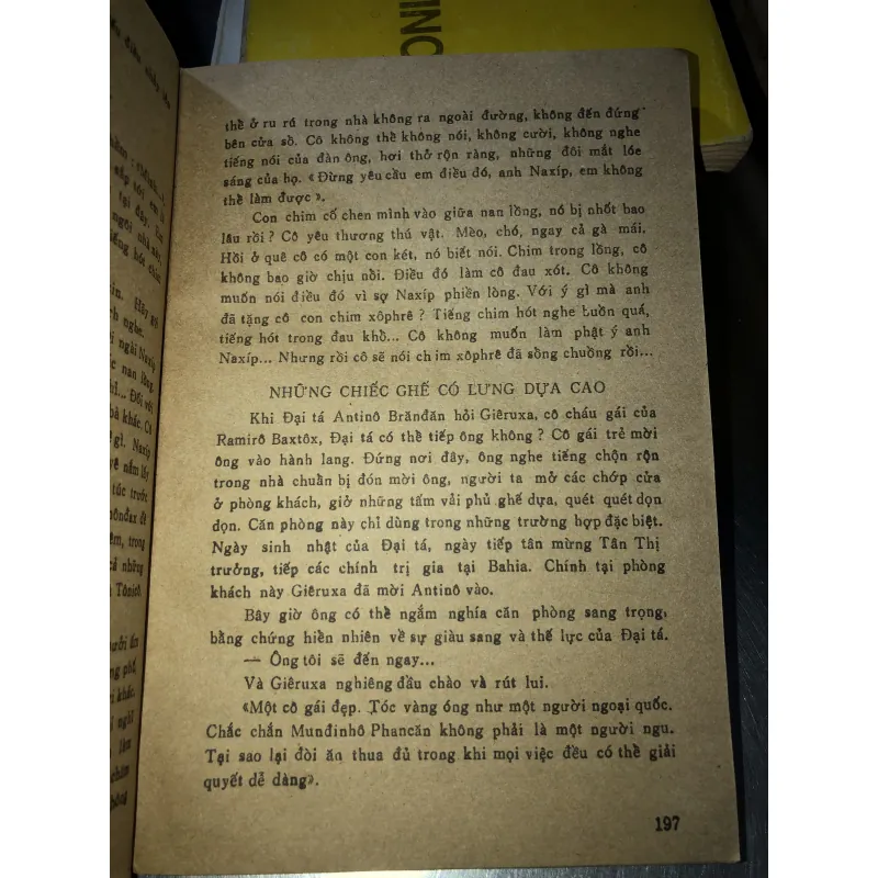 Gabriela Nhành quế và hoa đinh hương - Jorge Amado 928385