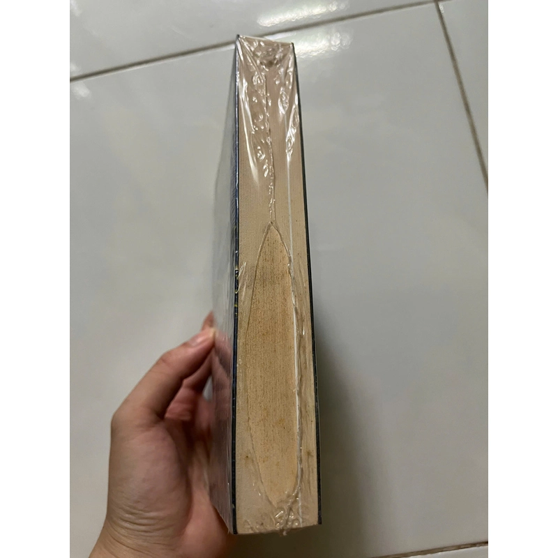 Những con đường của ánh sáng 447443