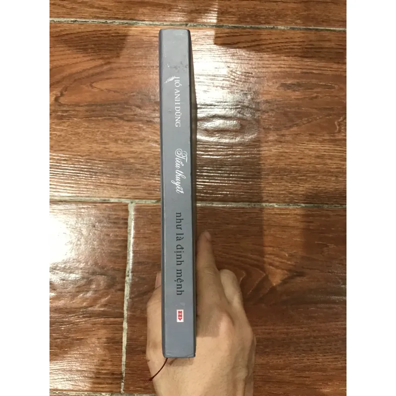 Như là định mệnh - Hồ Anh Dũng (6) 932179