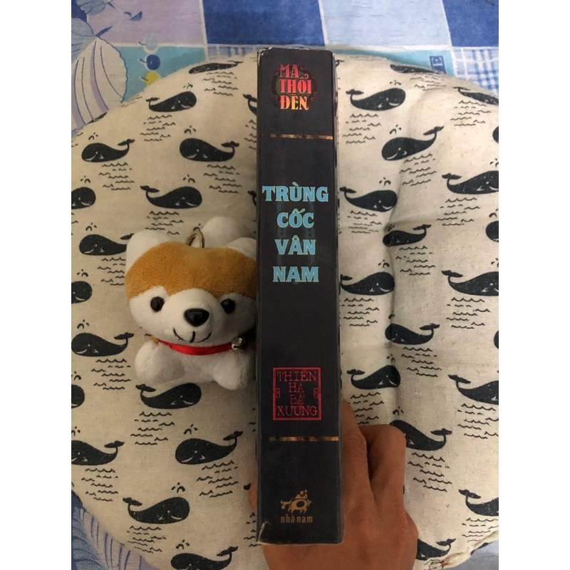 Ma Thổi Đèn - Trùng Cốc Vân Nam 552846