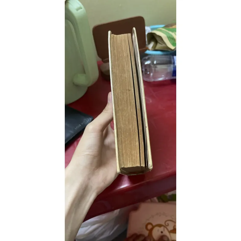 Sách Thánh Đạo Nhiếp Pháp của Kinh Thị Nguyễn Duy Còn mới 748687