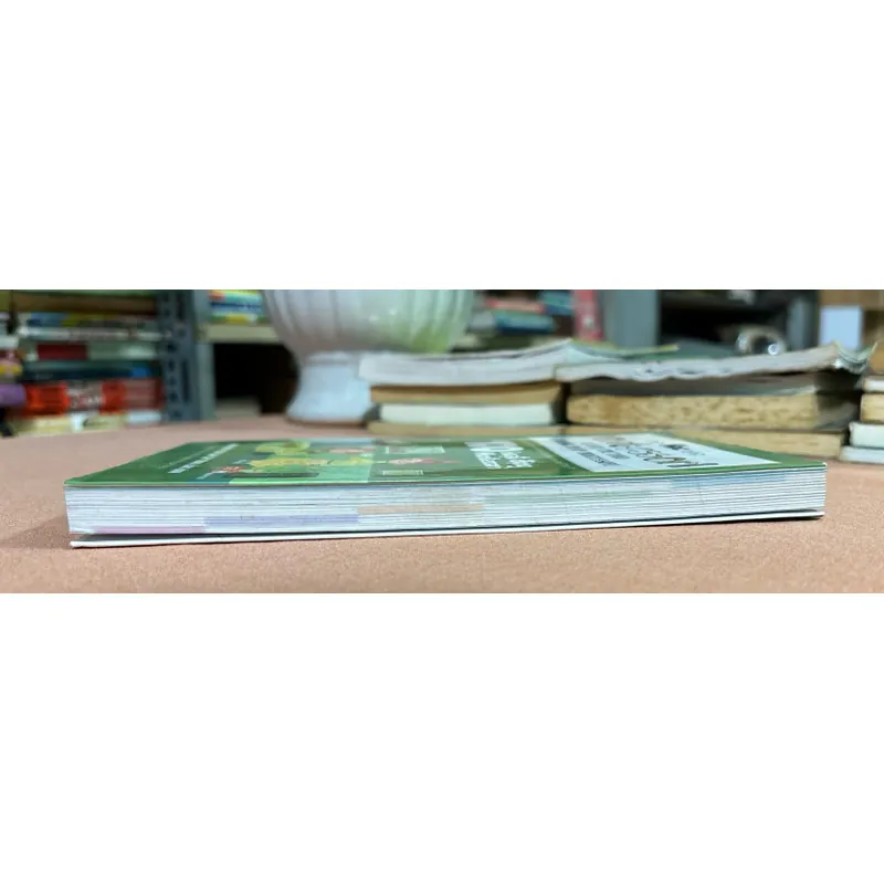 100 hoạt động Montessori 🌊 599771