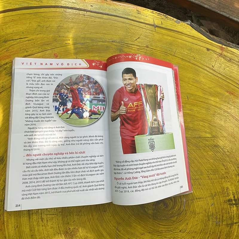 Việt Nam vô địch 463693