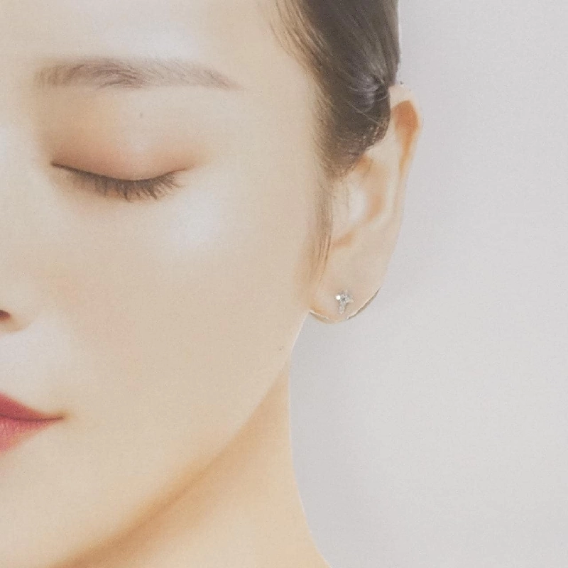 PT900 Bông tai kim cương chéo 0.20CT - Hàng hiệu Chính hãng 869633