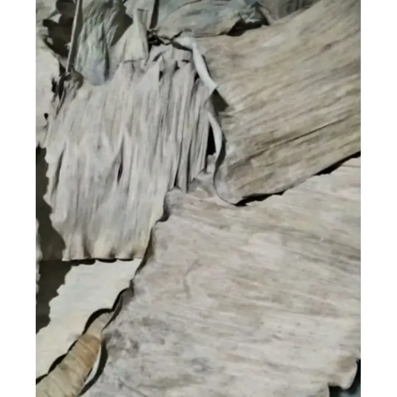 Lá chuối khô gói bánh. 720763