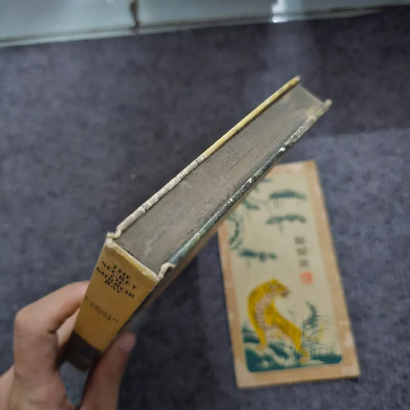 The secret of mirror bay 740843