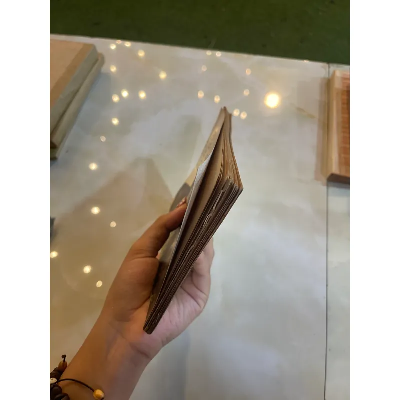 TIẾNG HÚ BAN ĐÊM - THẾ LỮ  1045609